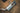 Valvetronic Designs Valved Sport Exhaust System – BMW M5 E60 (S85 V10)